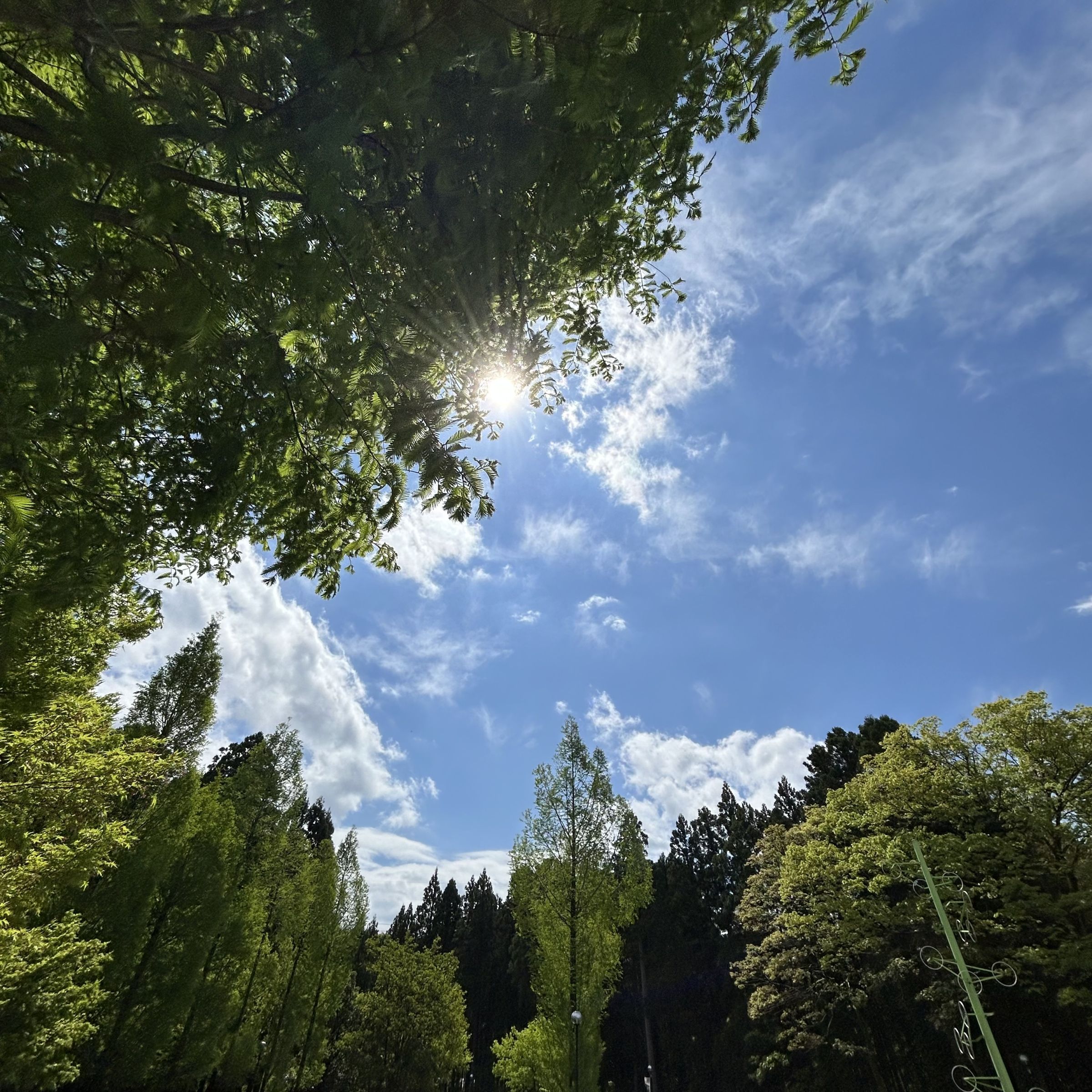 「金津創作の森フォトコンテスト」作品募集